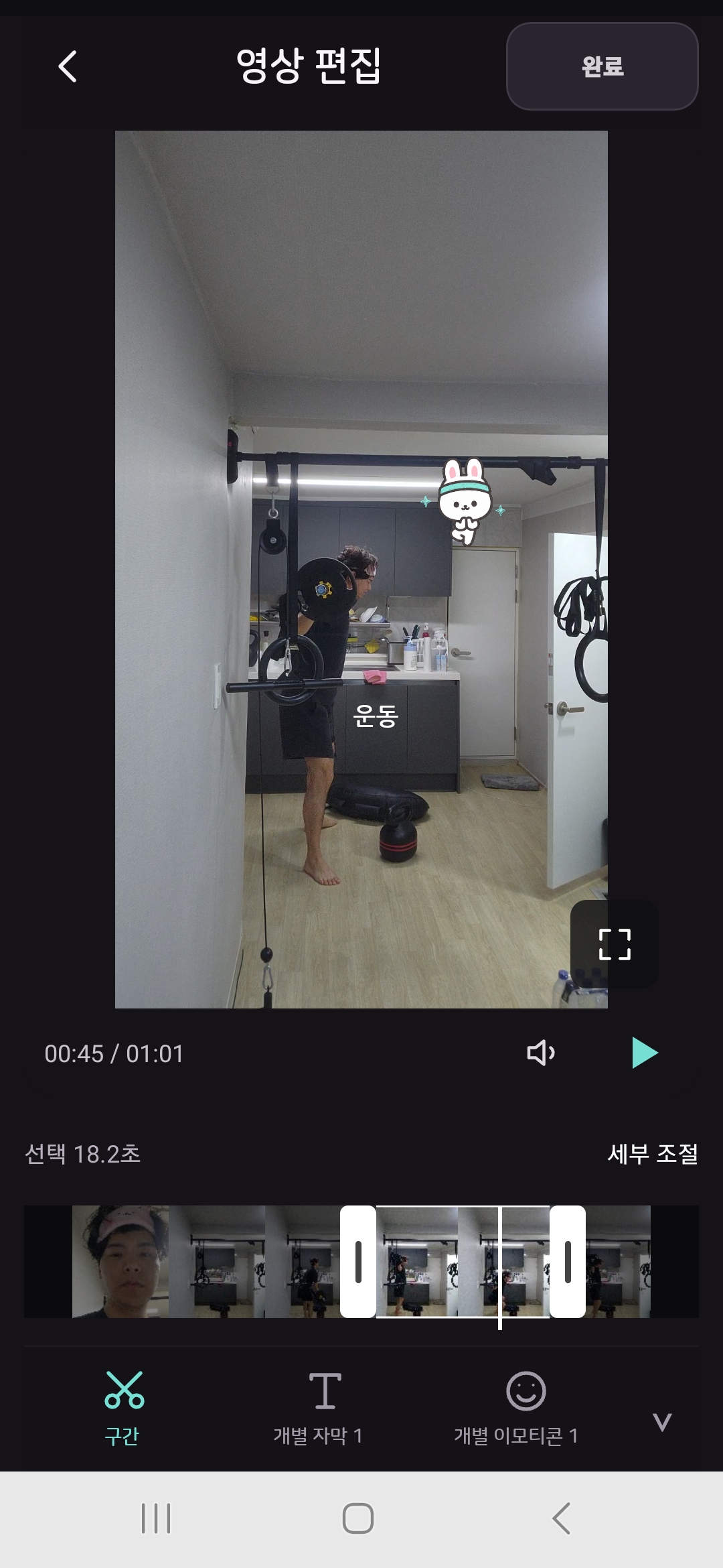 Train Gallery 개별 영상에 운동 자막과 토끼 이모티콘을 추가한 편집 화면
